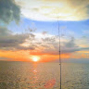 Meet your Posher, Pierson